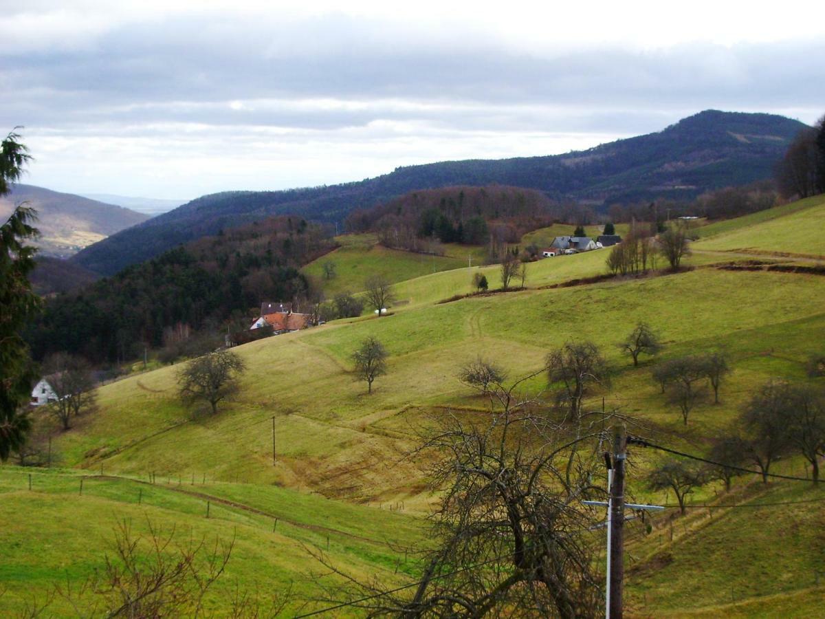 Hebergement Du Chene Fréland Exterior foto